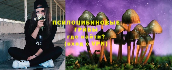 спайс Алзамай