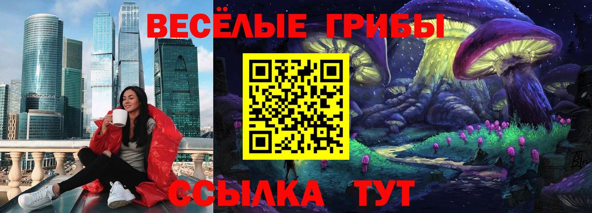 Галлюциногенные грибы MAGIC MUSHROOMS  Вход с VPN  Котлас  Псилоцибиновые грибы мухоморы 