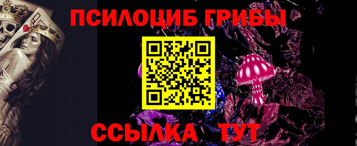 Галлюциногенные грибы Cubensis Котлас